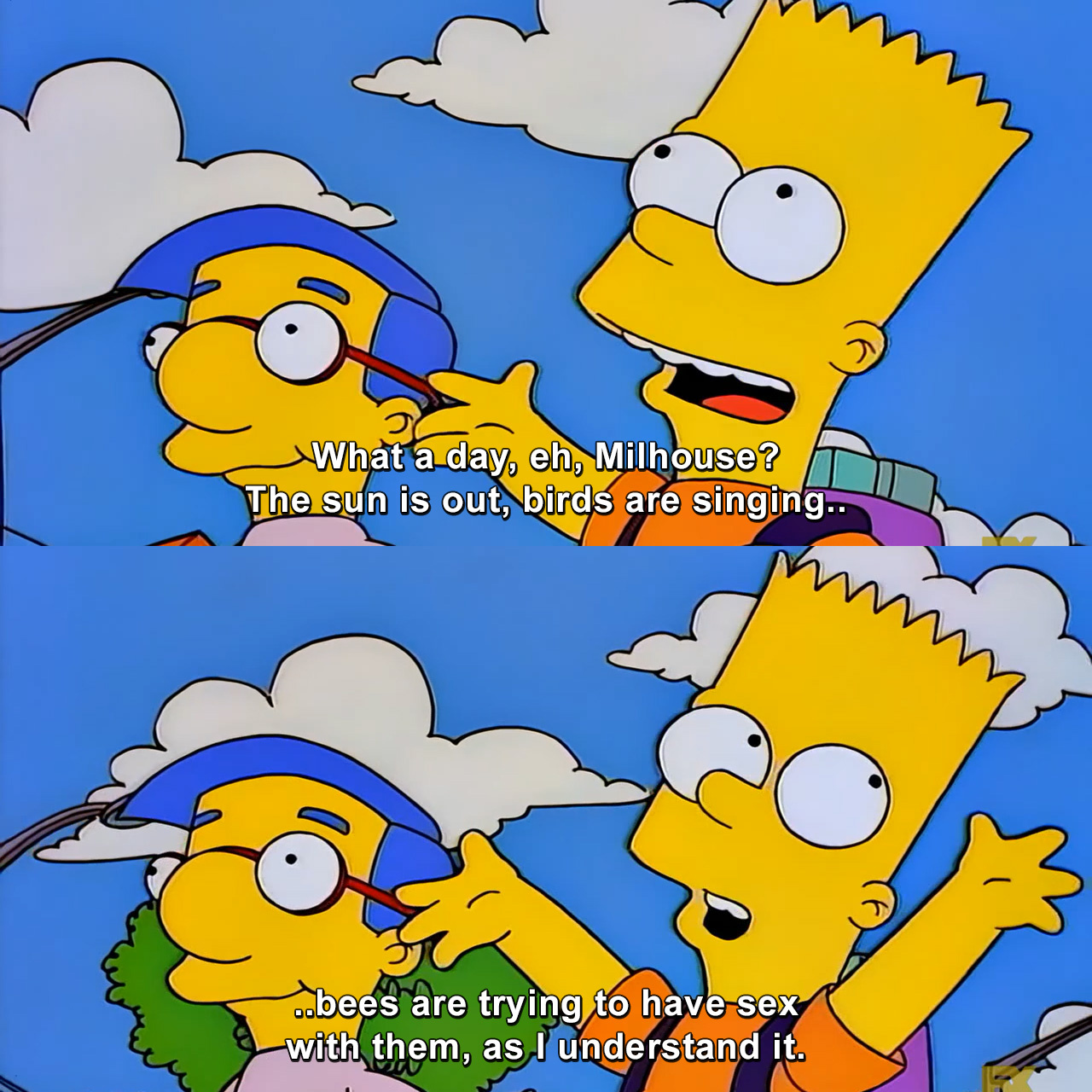 What a day, eh, Milhouse? The sun is out, birds are singing bees are trying  to have sex with them, as I understand it. | The Simpsons | TVgag.com